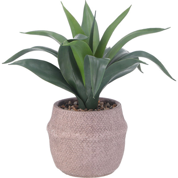 フェイクグリーン アガベ セメントポット